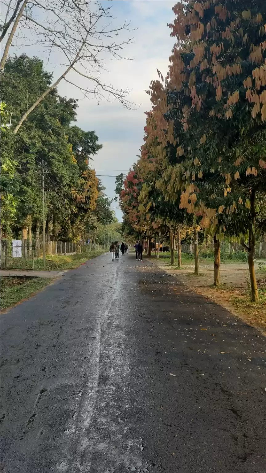 Photo of Dibrugarh University