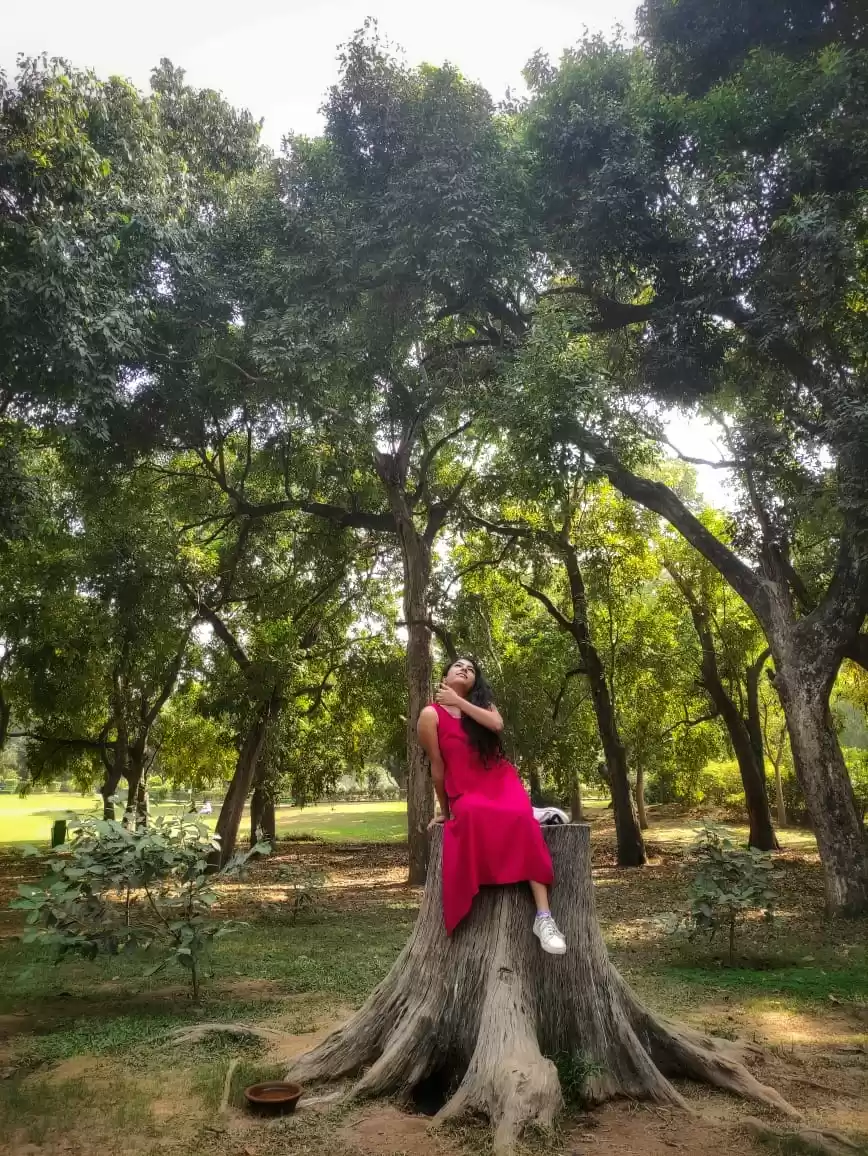 Photo of Lodhi Gardens..