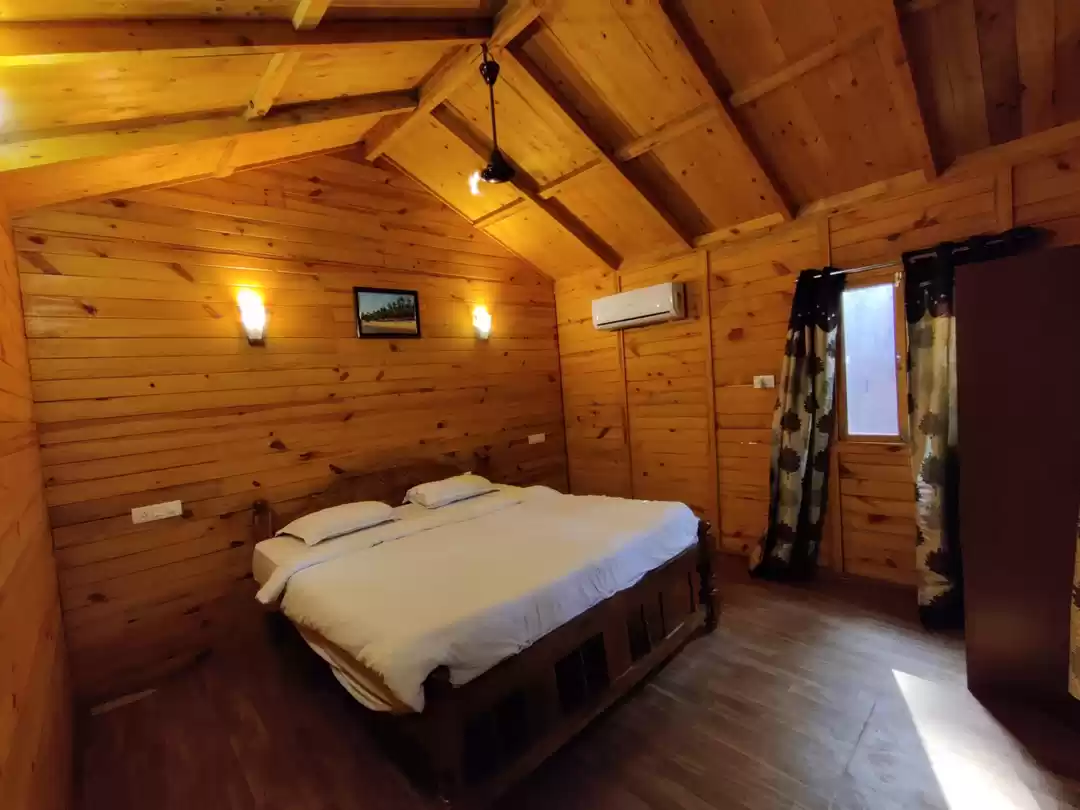 Photo of One of the Best Rat