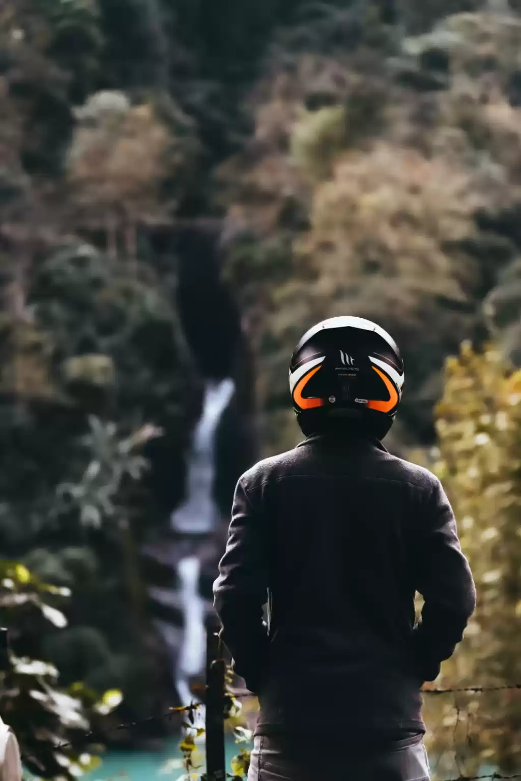 Photo of Just admiring the be