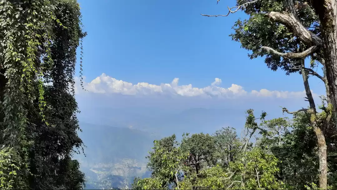 Photo of Binsar, Uttarakhand'
