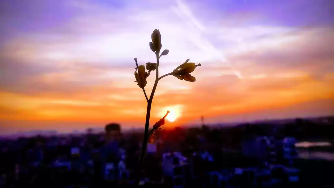 Photo of Lucknow #MyCity