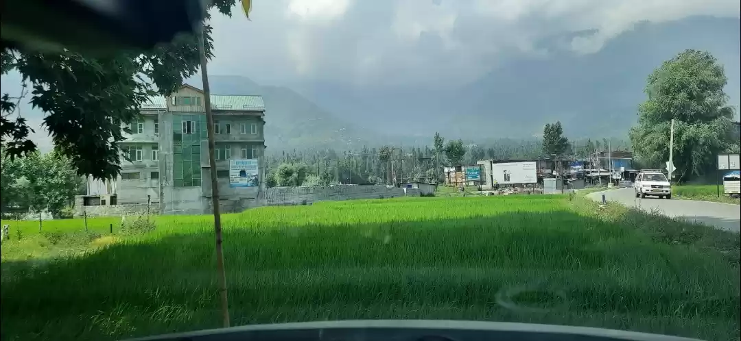 Photo of Green fields of Wayu