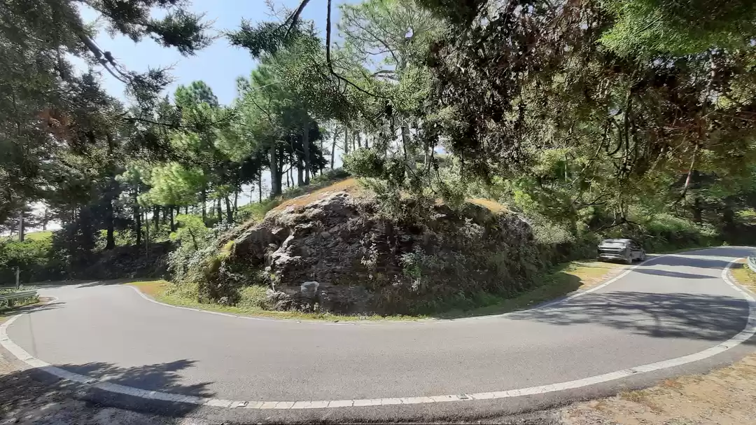 Photo of Almora The Interesti