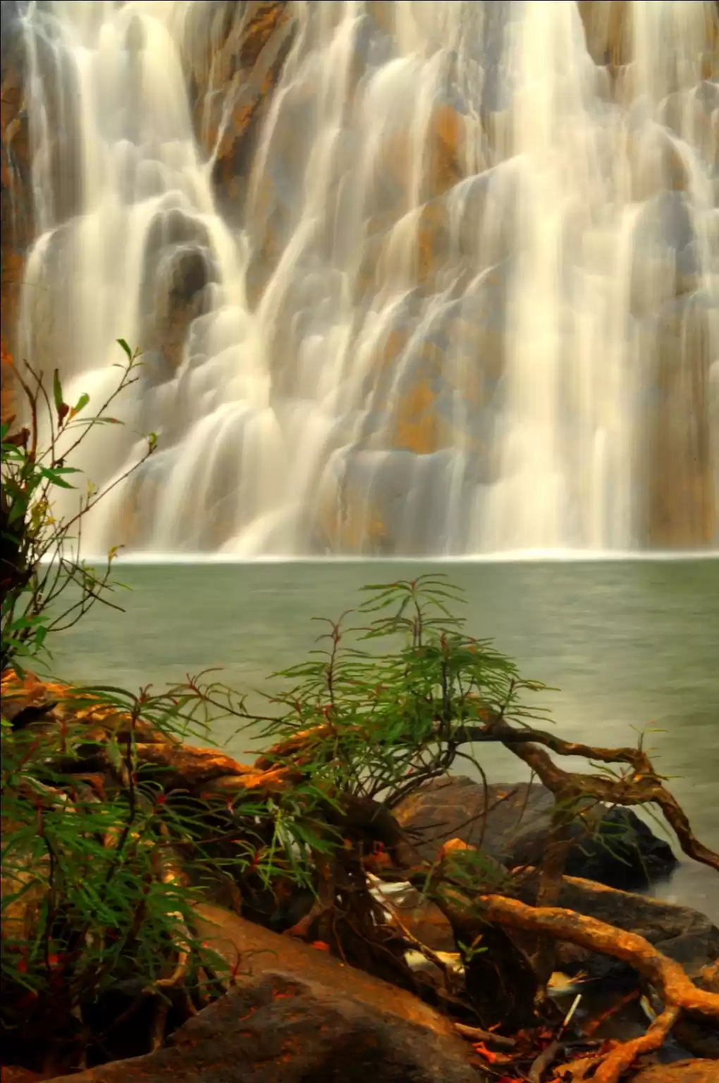 Photo of अब दूधसागर देखिए भार