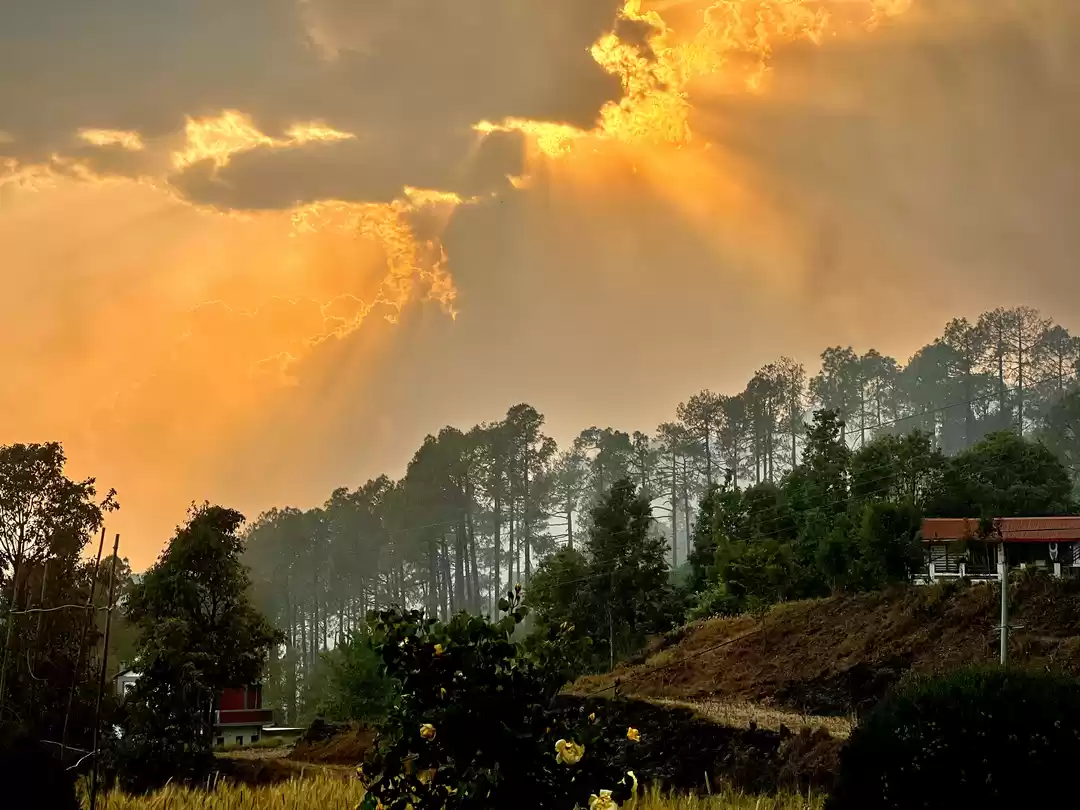 Photo of Beautiful Evening wi