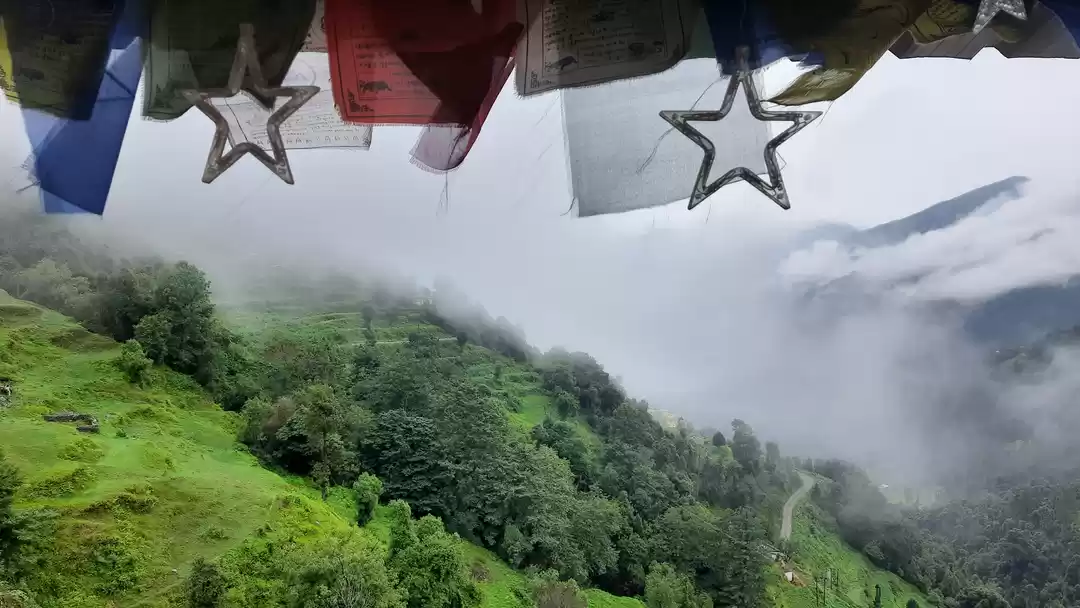 Photo of ट्रिपोटो के साथ कीजि