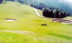 Photo of A white christmas @