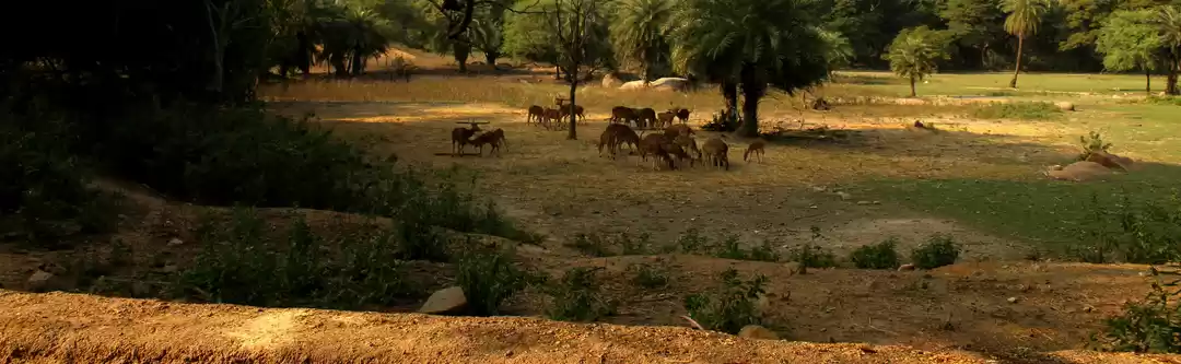 Photo of Do you feel like exp