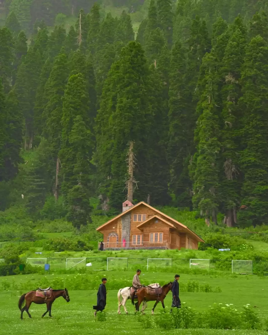 Photo of Doodpathri kashmir 