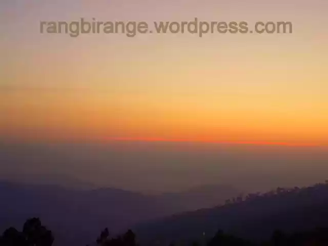 Photo of Trip to Birders' Par