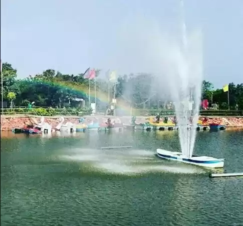 Photo of City Forest 