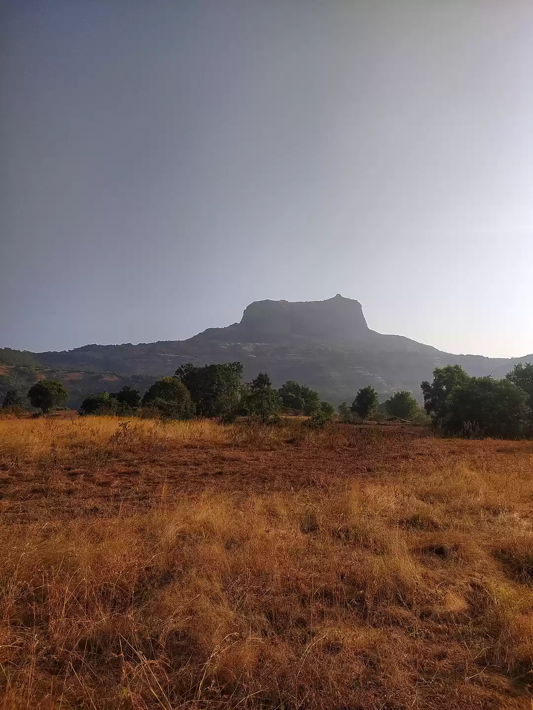 Photo of The one Day Trek on