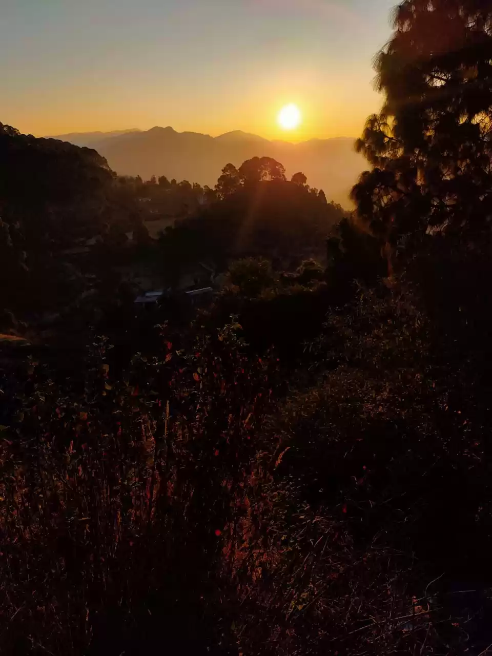 Photo of arpan creation