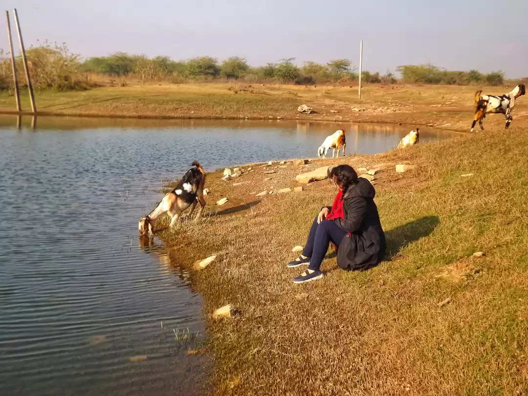 Photo of It's Lake'O Clock in