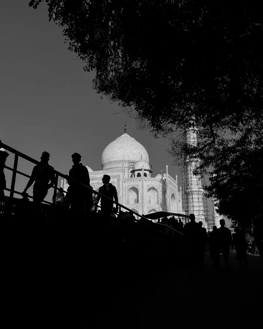 Photo of The Monochrome Taj M