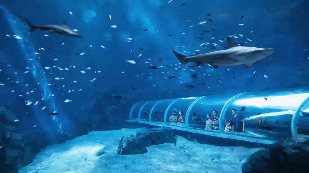 Photo of This is why I want t