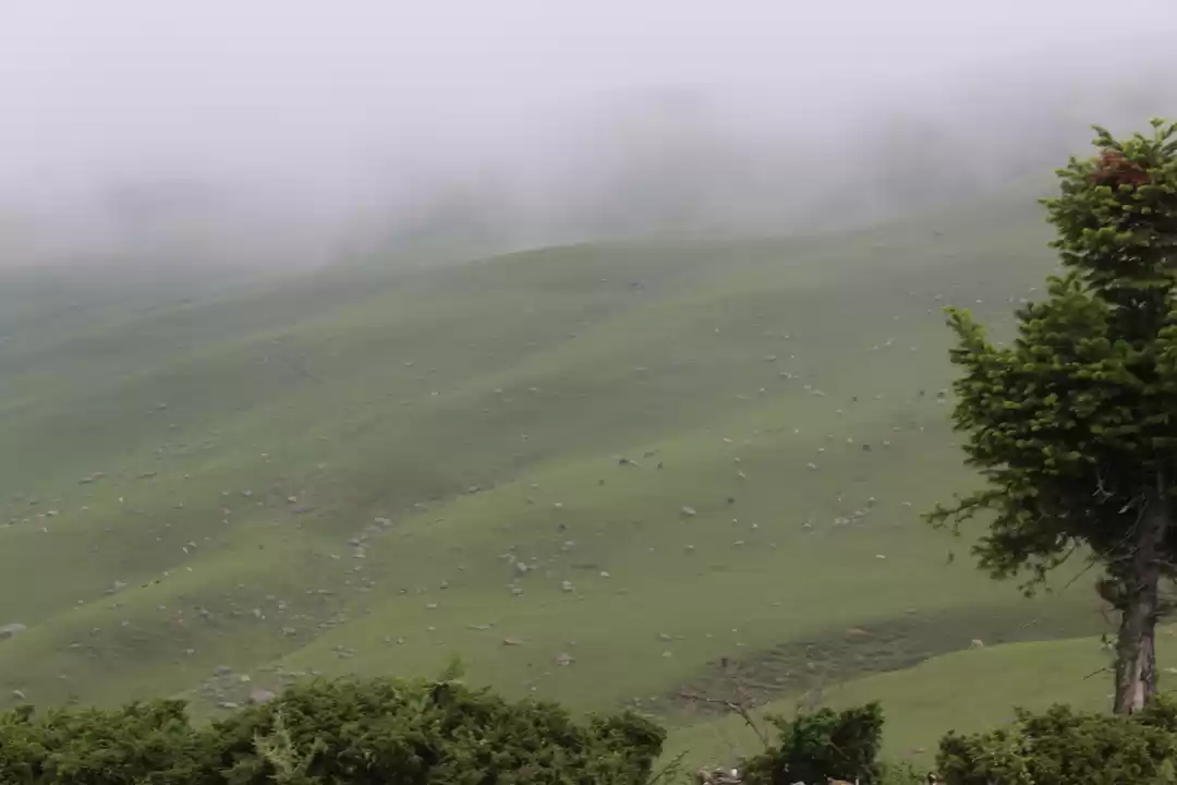 Photo of Doodhpathri Budgam 