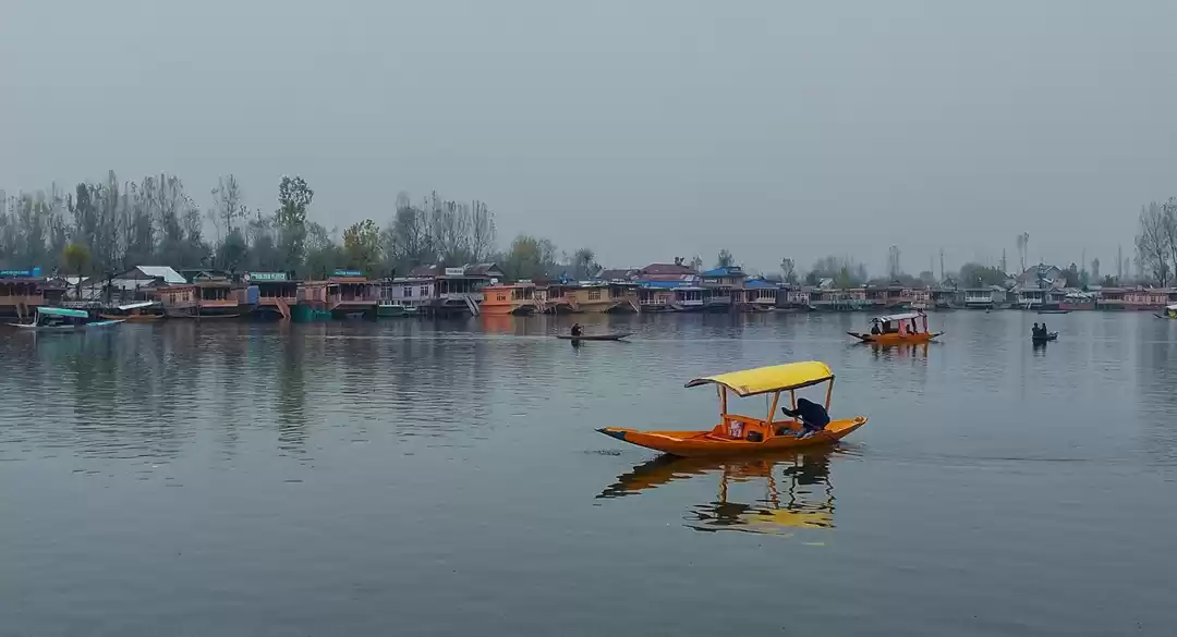 Photo of Shikara Ride in Dal 