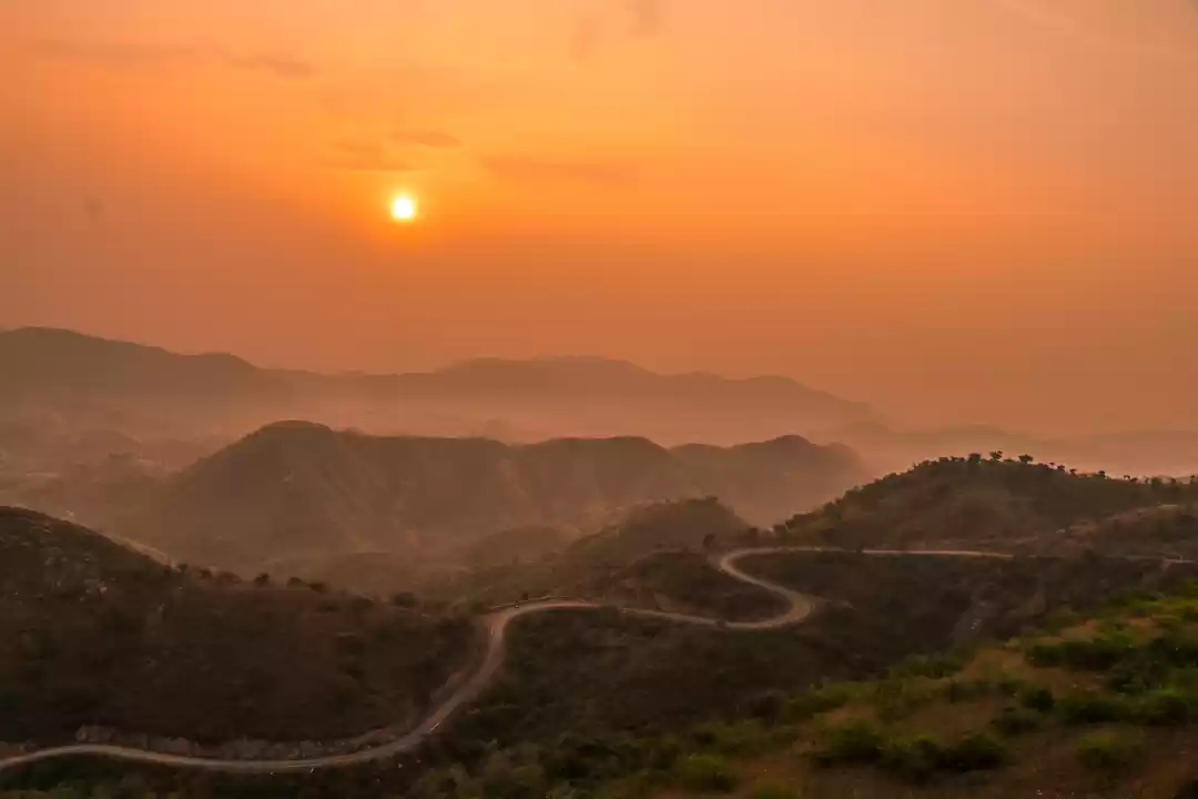 Photo of Golden fog!
