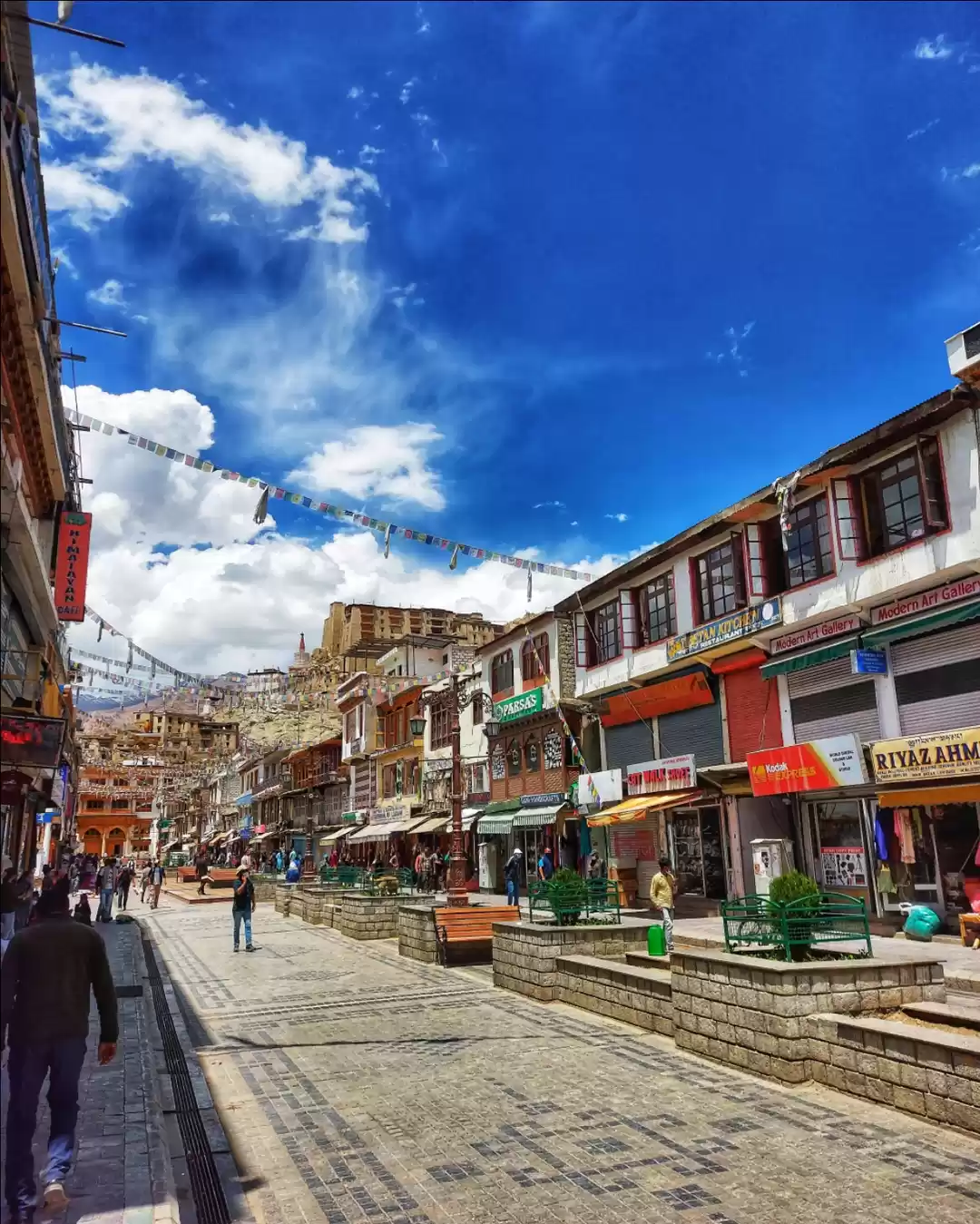 Photo of Beauty of Leh City #