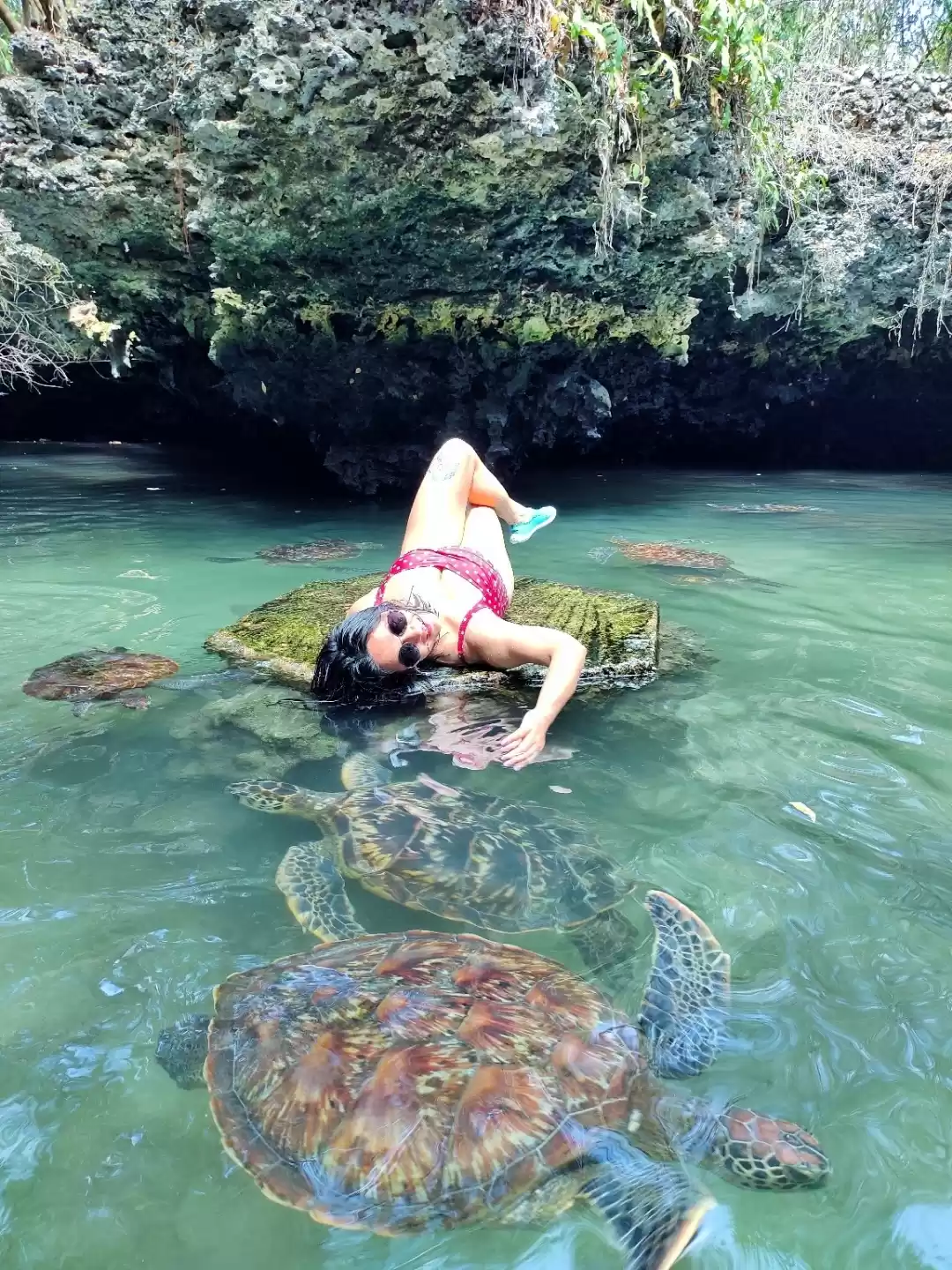 Photo of Swimming with Sea Tu