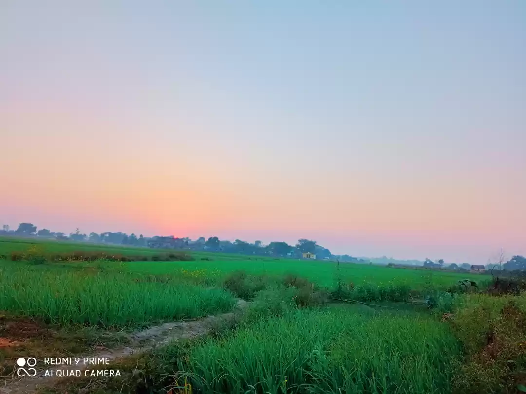 Photo of The Nature Of Mirzap
