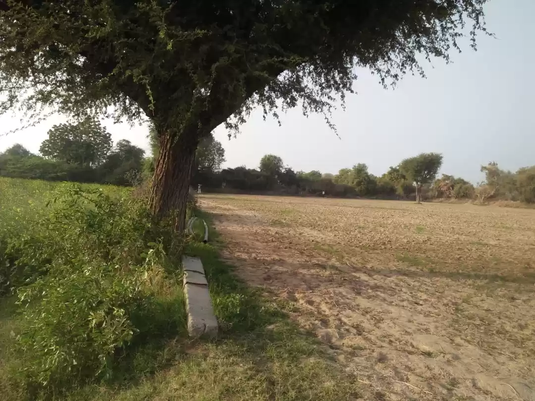 Photo of Udaipur diaries