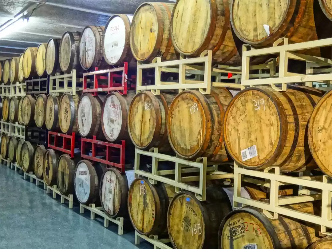 Photo of Surprising Food Find