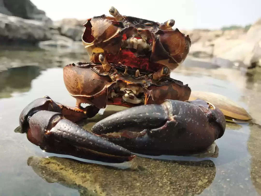 Photo of The story of finding