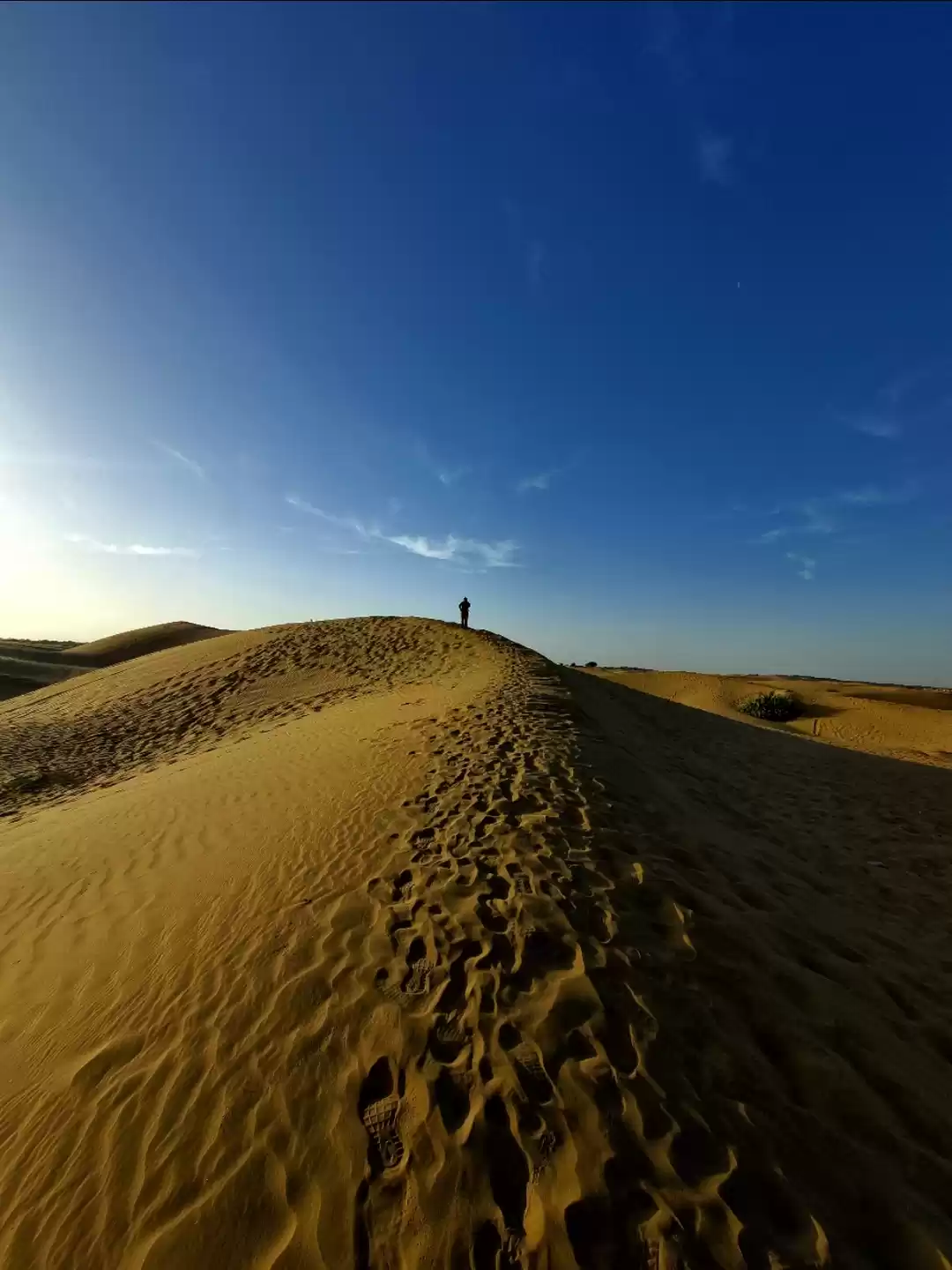 Photo of DESERT SAFARI JAISAL