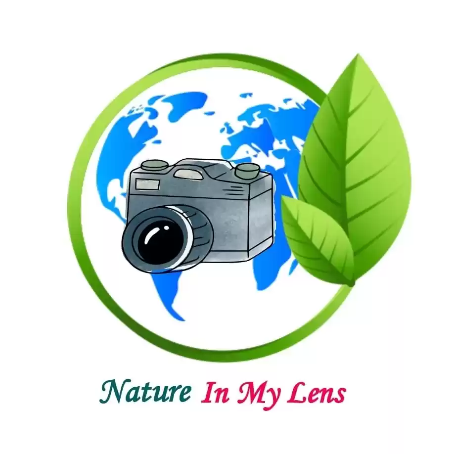 Photo of Nature In My Lens - Adil Rashid