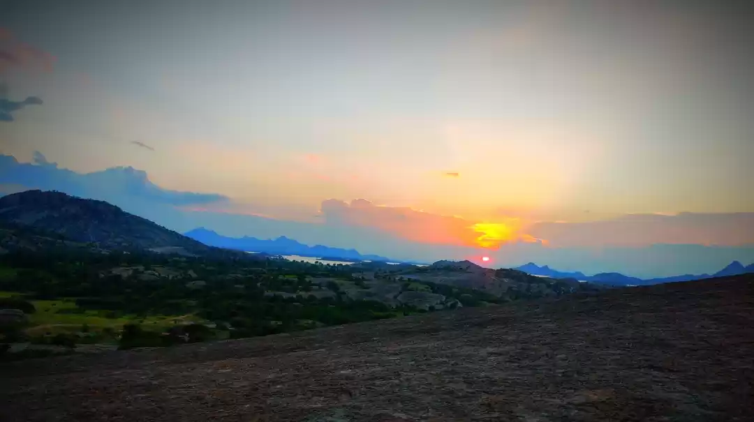 Photo of Jawai Leoperd Park P