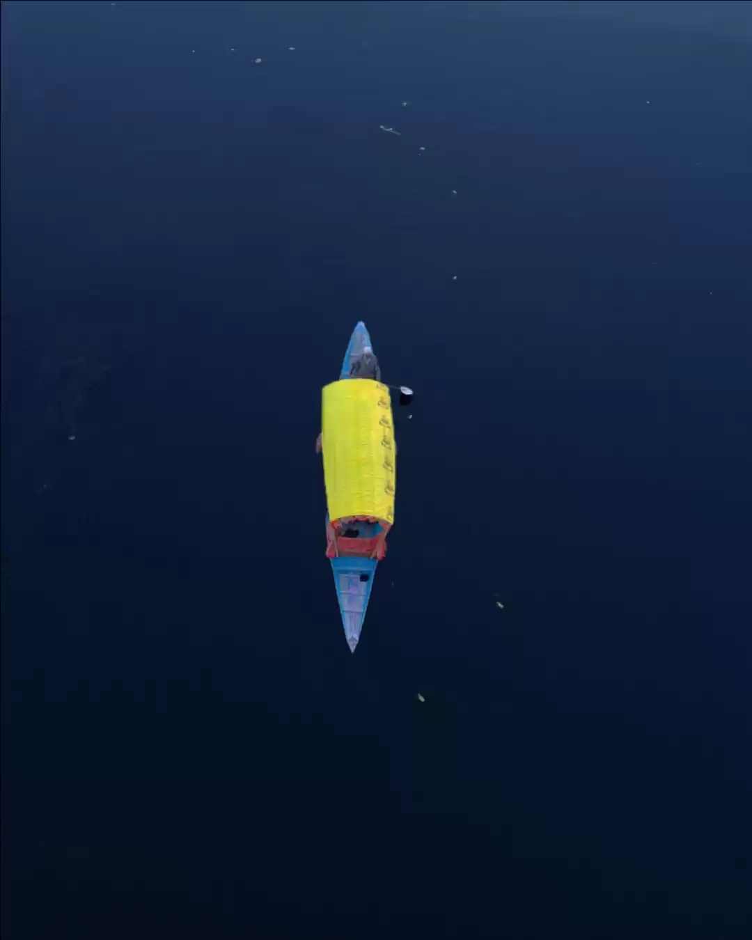 Photo of shikara ride