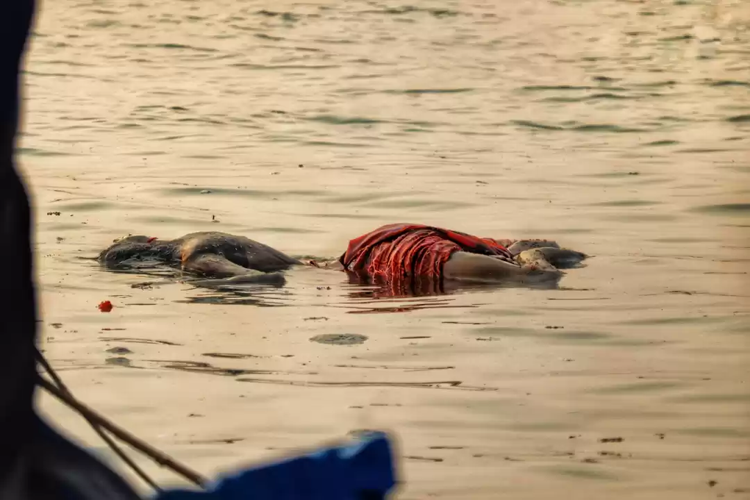 Photo of Vishwaprasiddh Varan