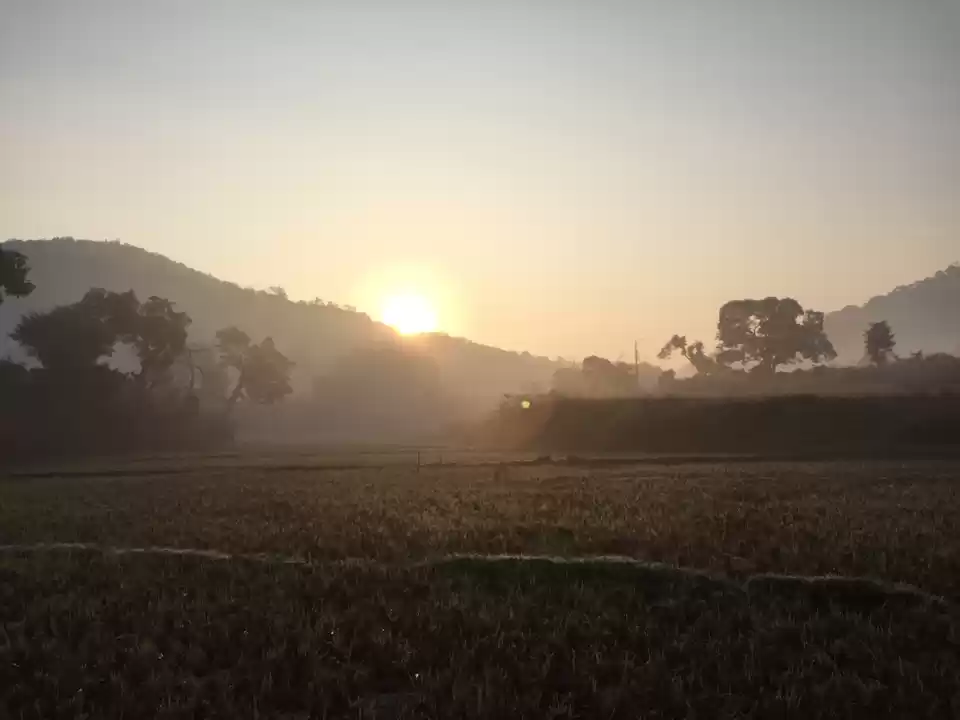 Photo of Lammasinghi-Natures 