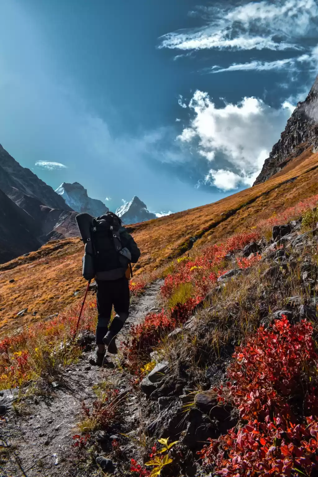 Photo of Kedartal Trek || Bho
