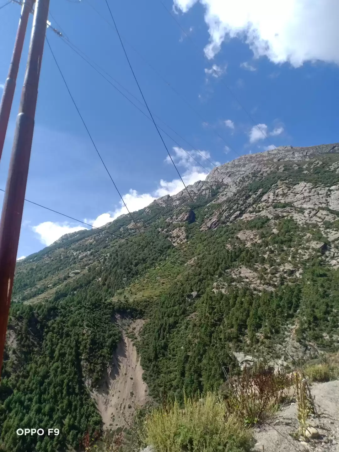 Photo of Niti valley One of t