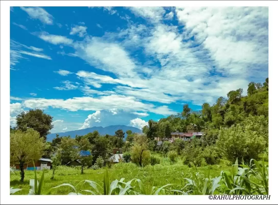 Photo of Photographer 