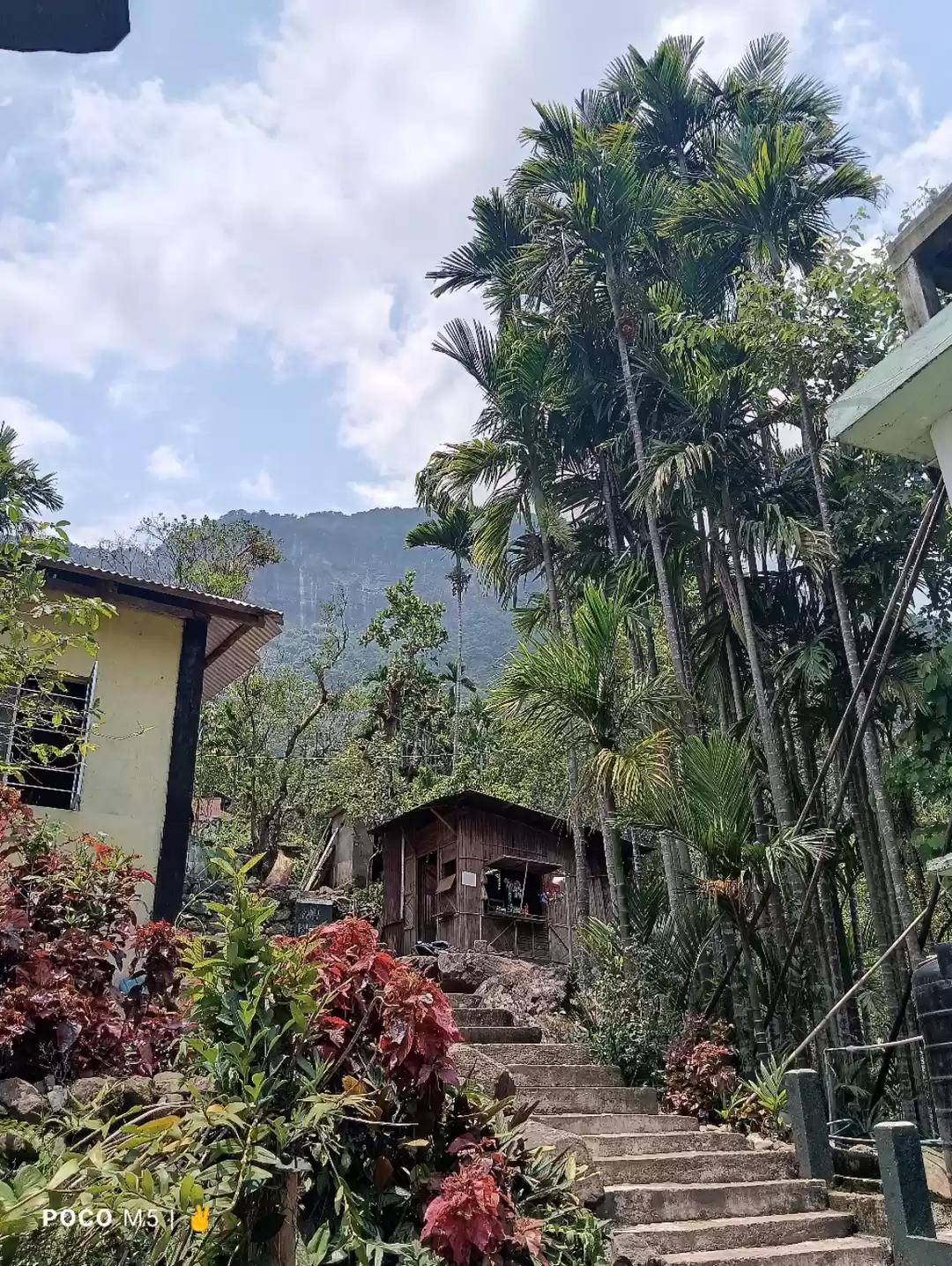 Photo of Summer season in Soh