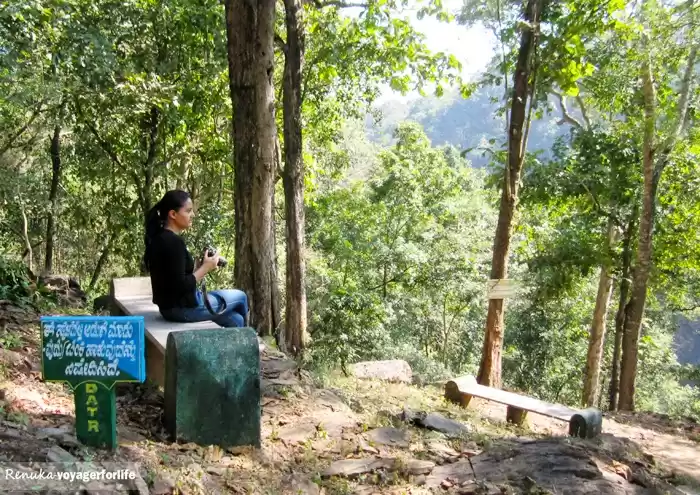 Photo of Great Tips for Women