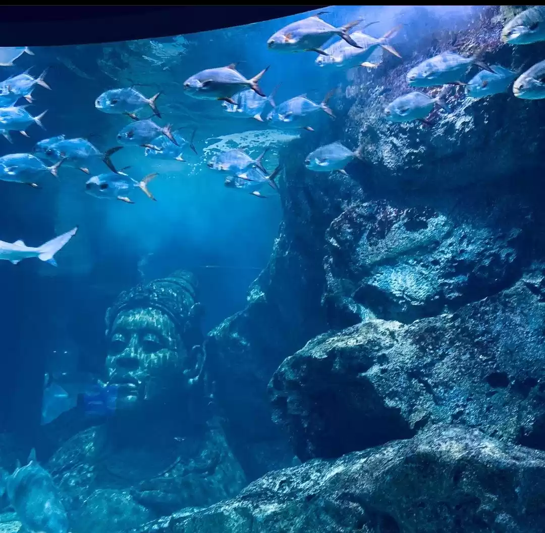 Photo of Siam Ocean World, Ba