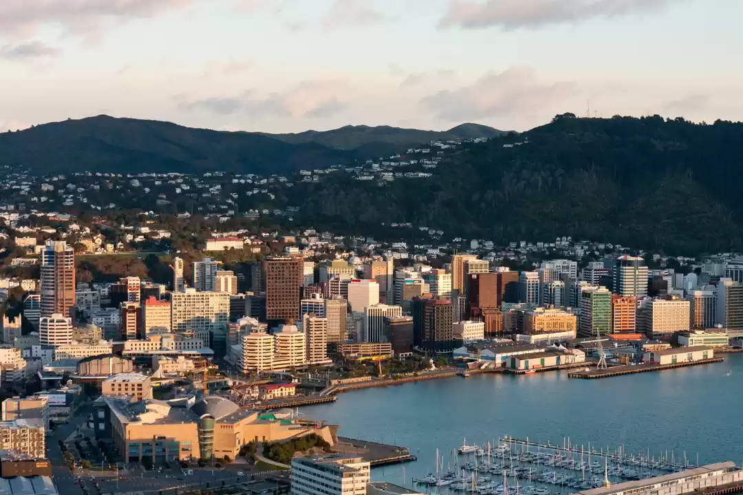 Photo of Wellington Is The Wo