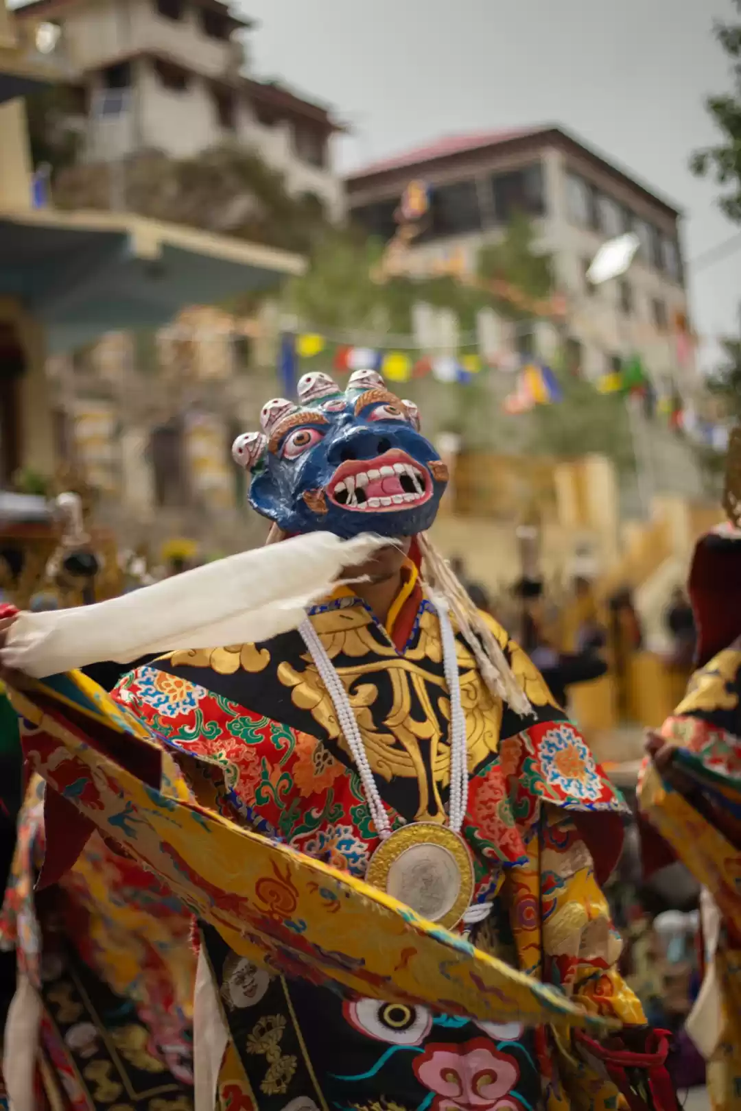 Photo of GUSTOR Festival 