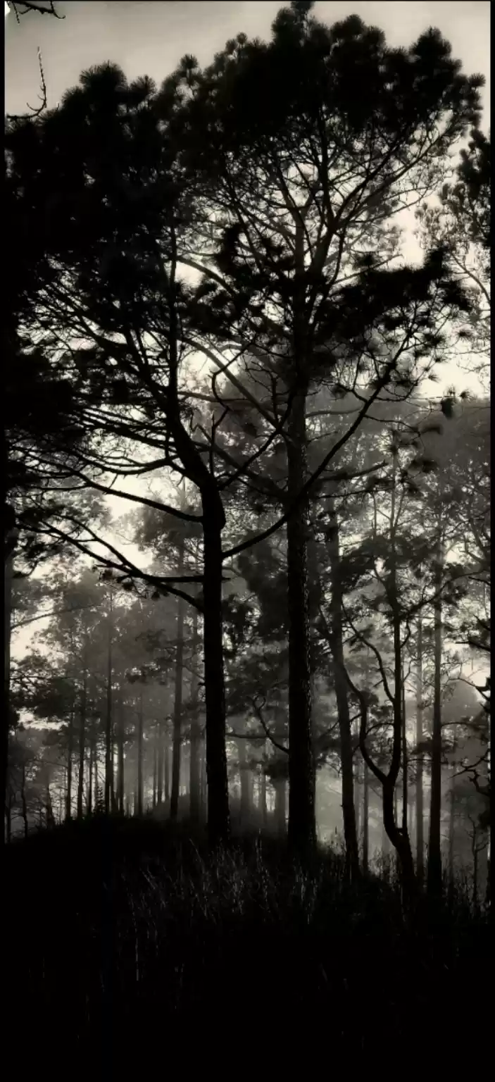 Photo of #nature#peace#alone#