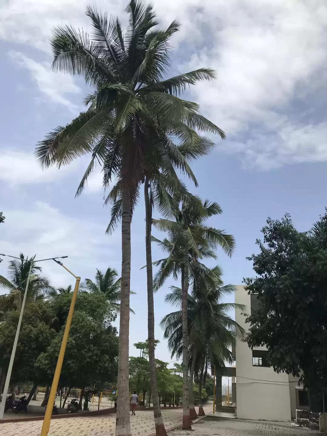 Photo of Swaminarayan temple 