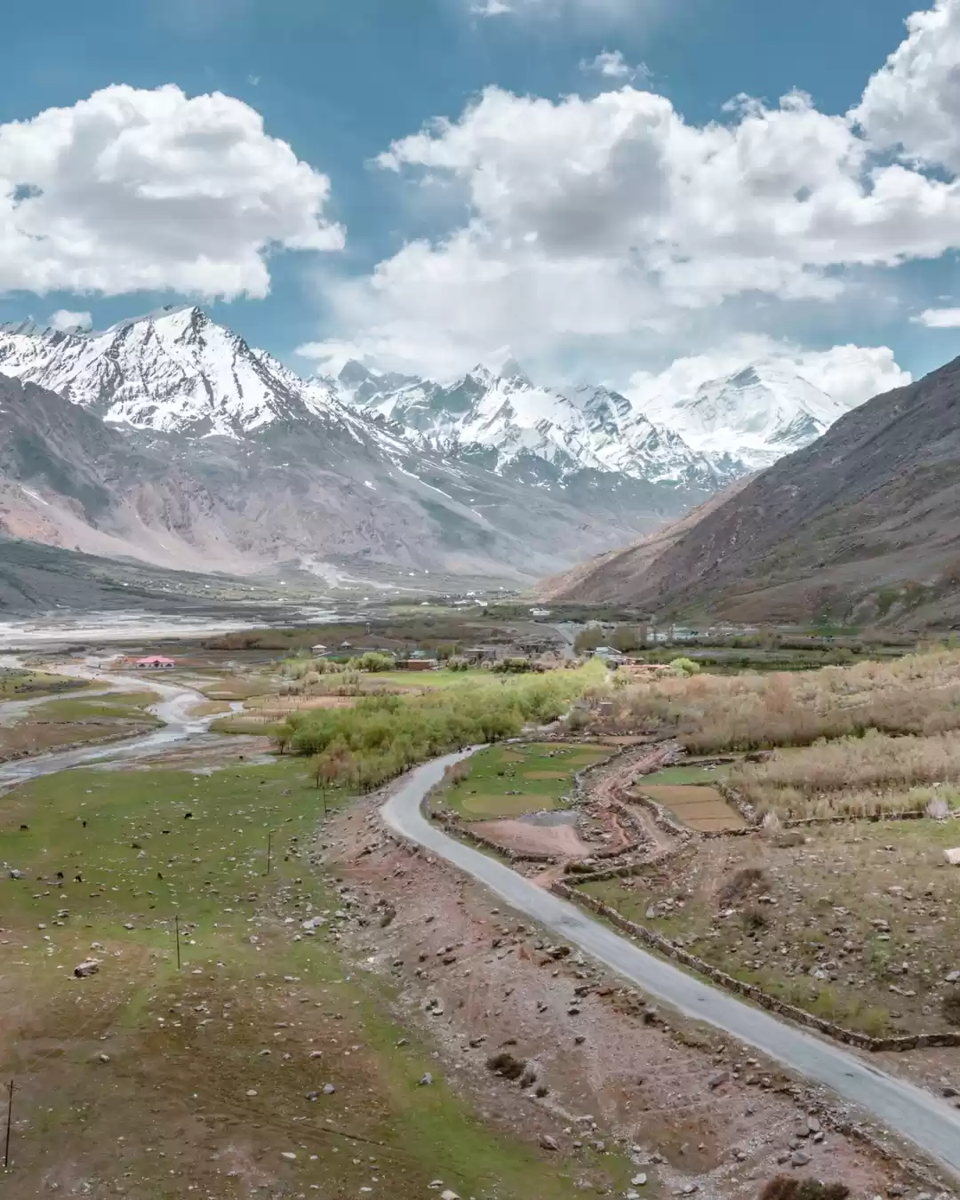 Photo of Trans Himalaya srina