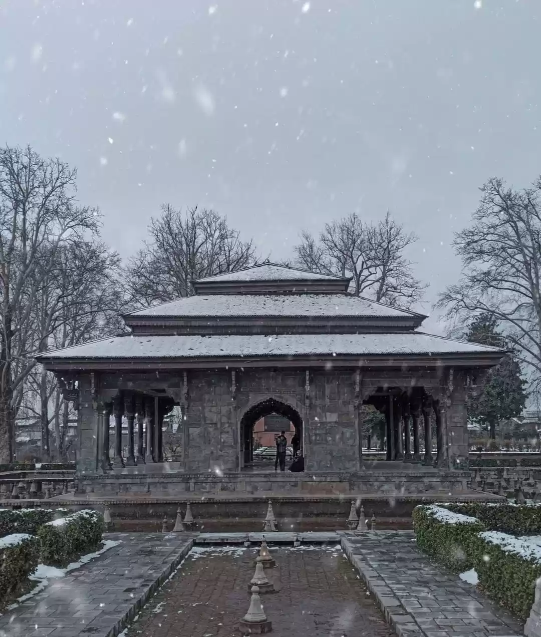 Photo of Shalimar bagh #snowf