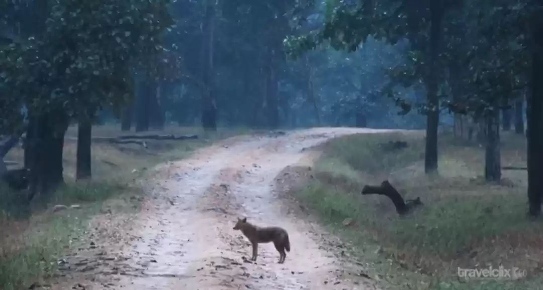 Photo of rupyard kiplings mo