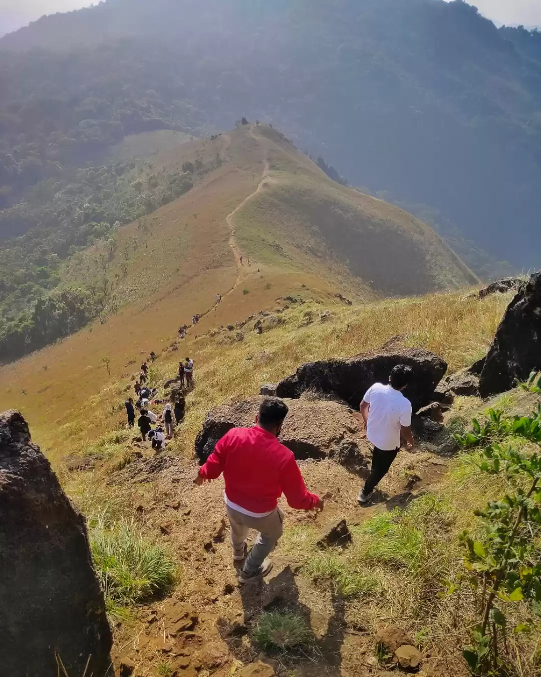 Photo of Getting down from th